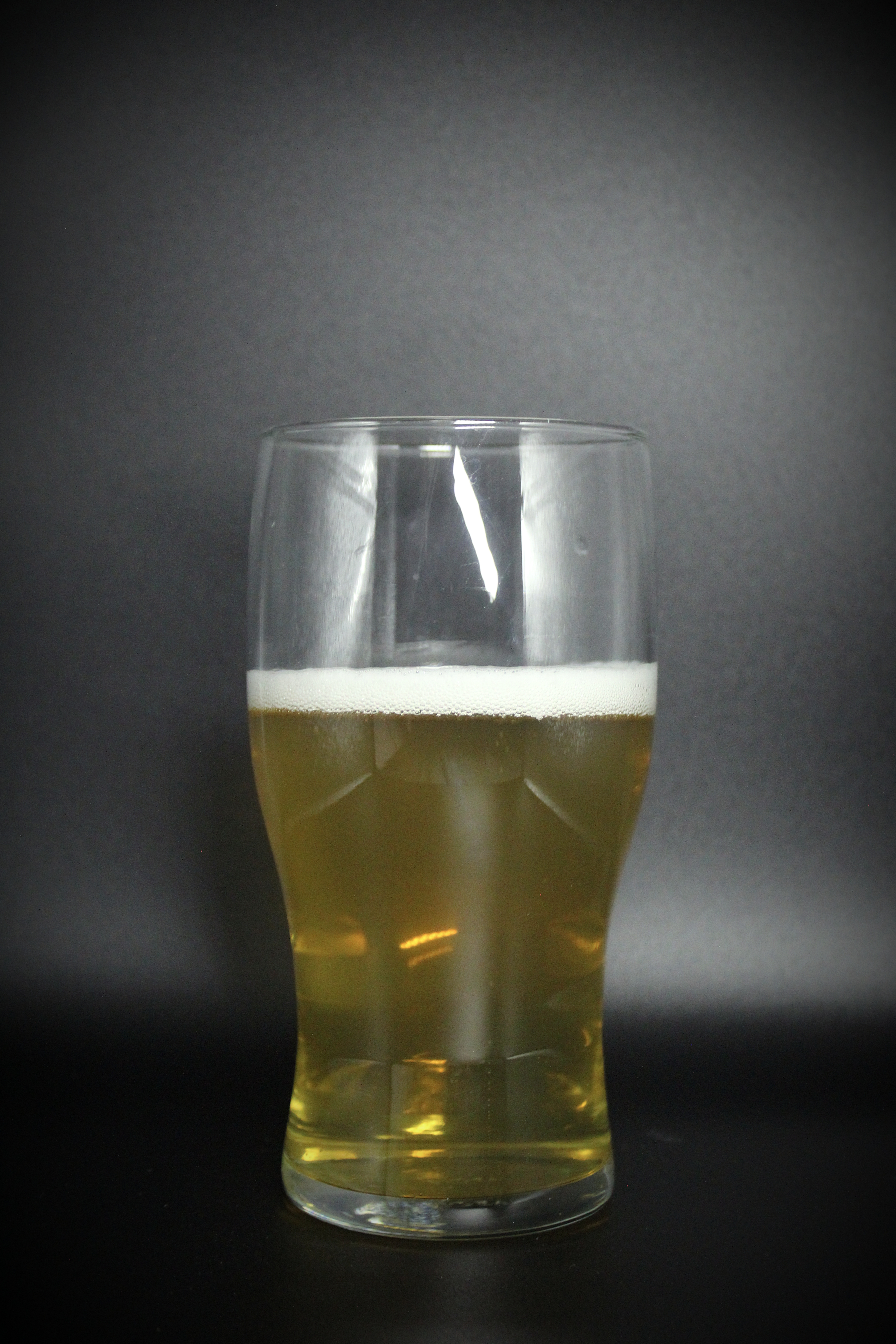 Czech Pilsner - Cerveza artesanal