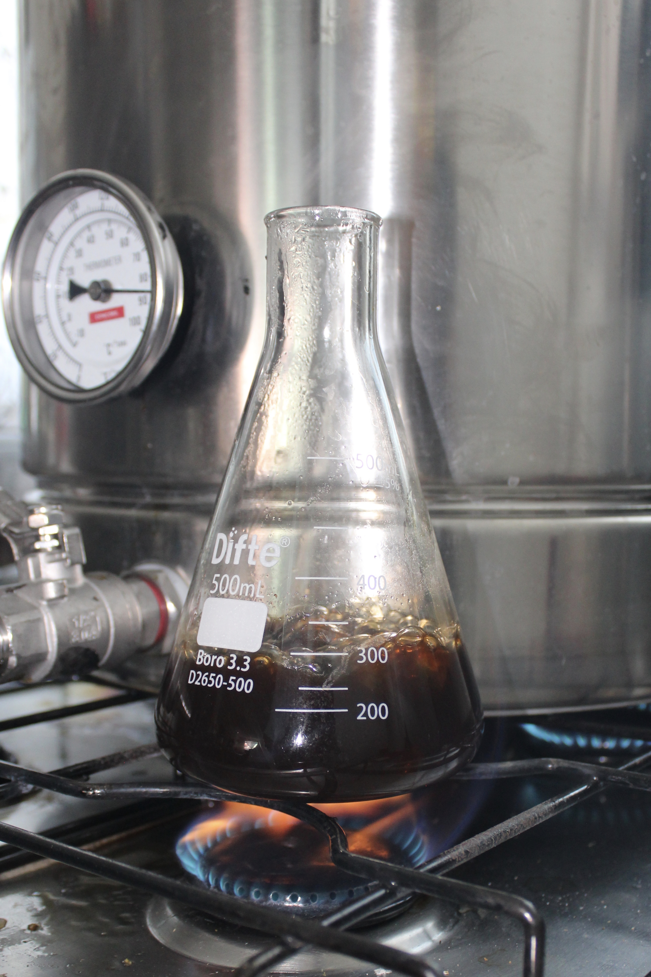 Matraz Erlenmeyer con mosto