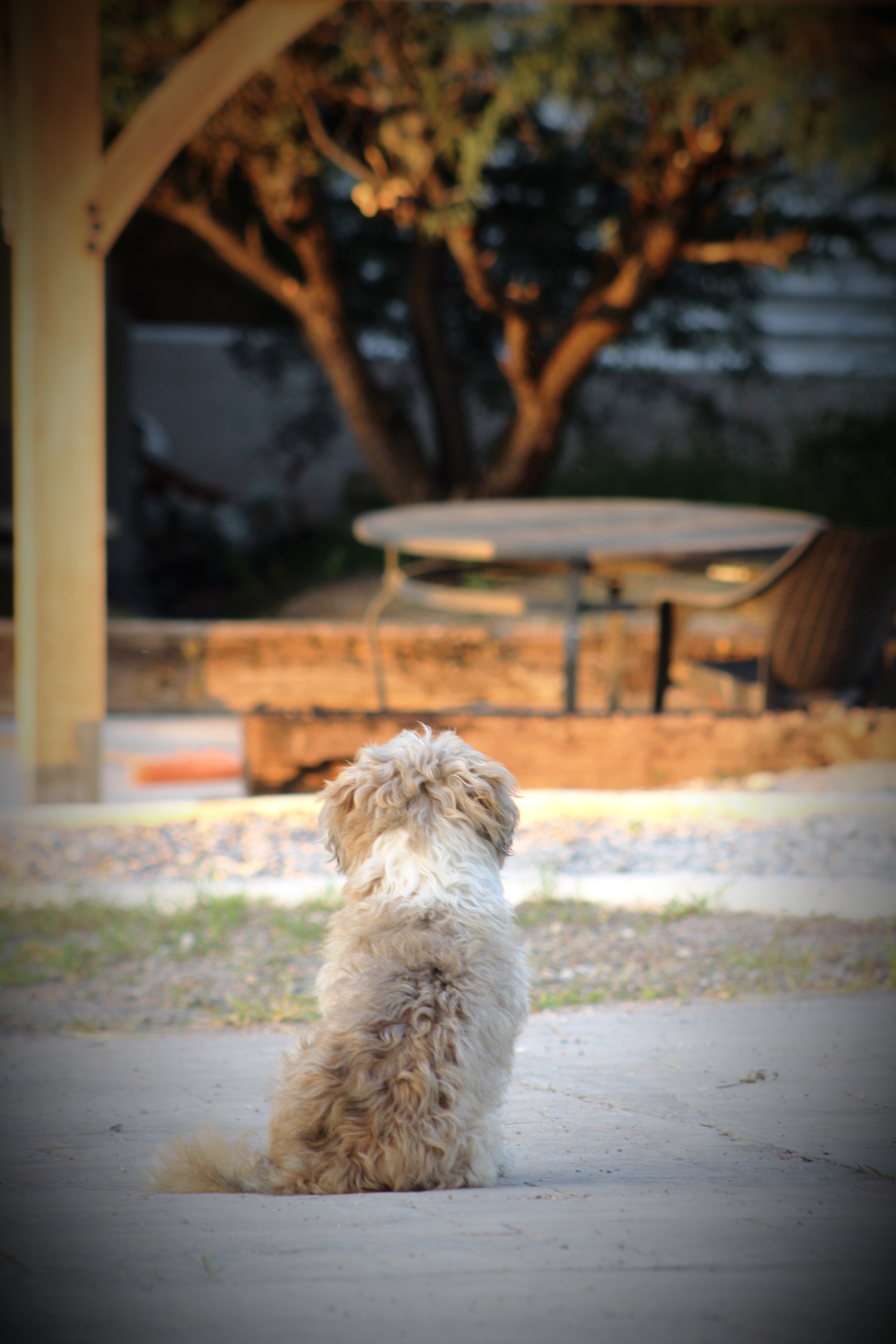 Proceso de elaboración de cerveza artesanal