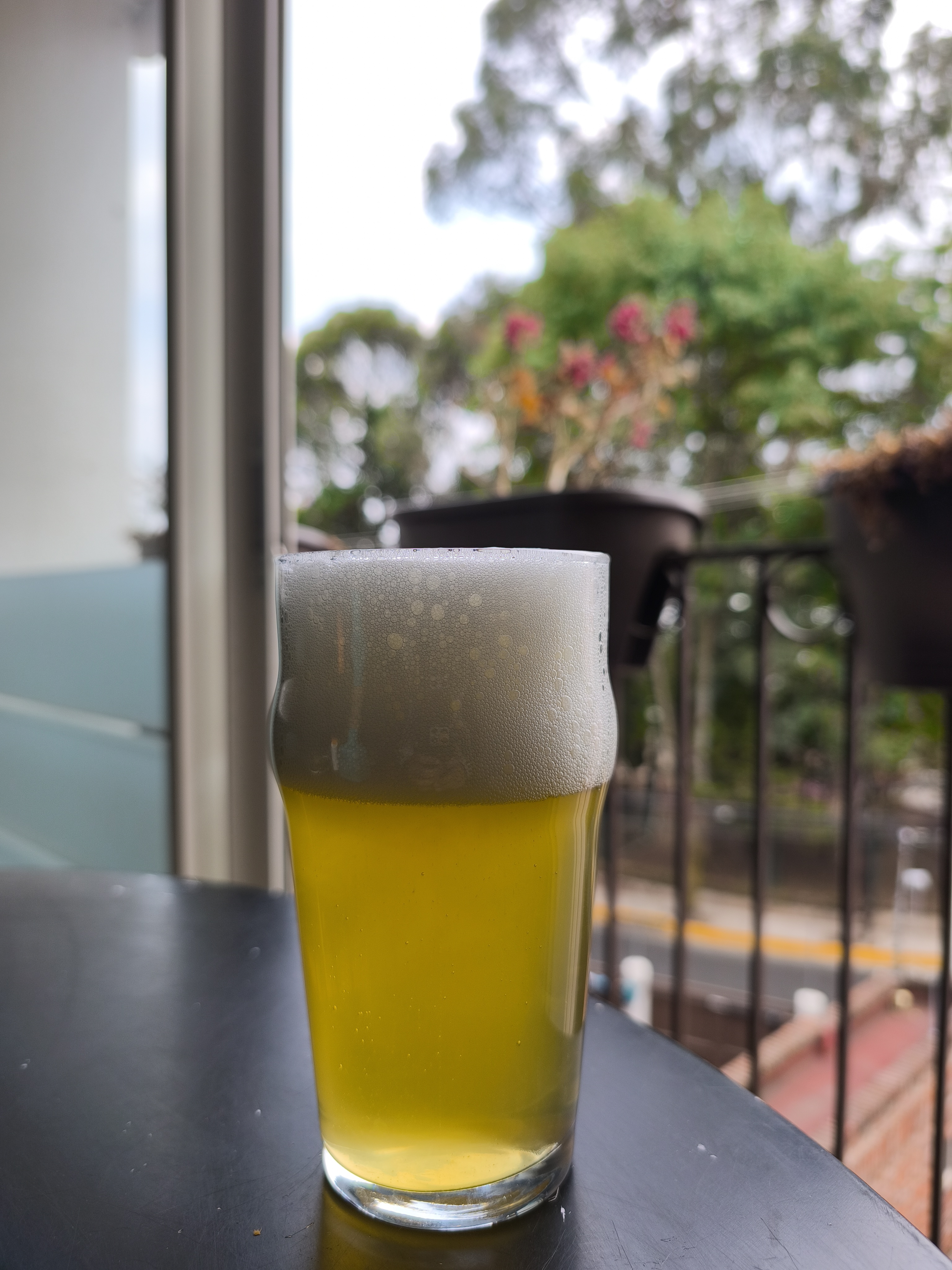 SMaSH IPA - Cerveza artesanal